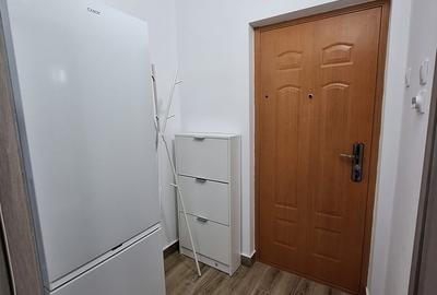 Dristor, garsoniera, metrou 1 minut, renovata recent - 4