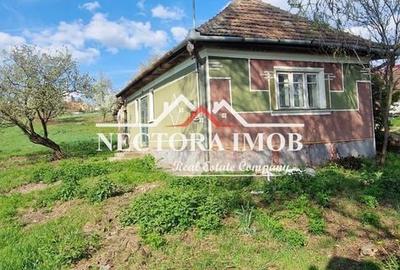 Casă cu 2 camere cu Teren 951 Mp în Paleu - 4