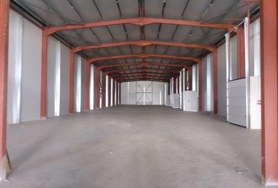 Zona Drumul Intre Tarlale - hala 1125 mp din care 200 mp birouri - 11