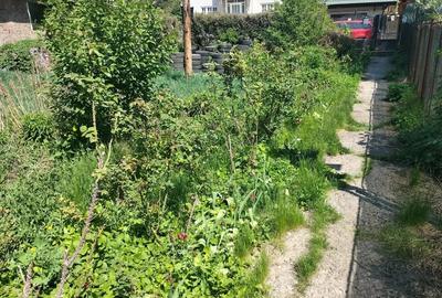 Teren 890 mp+casa 230 mp,in Copou,zona Parcul Expozi?iei - 3