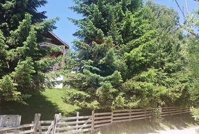 Casa de vacanta in Magura, la poalele Muntilor Piatra Craiului - 15
