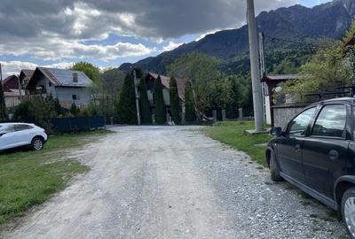 Teren intravilan Poiana Tapului. Tripla deschidere. Vedere libera superba. - 14