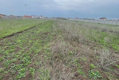 Teren Construcții intravilan de 500 mp, în Clinceni - 6