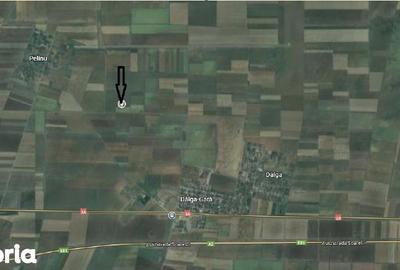 Teren de 5000 mp, în Dor Mărunt - 3