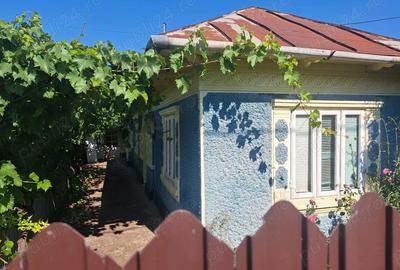 Casă cu Teren 1300 Mp în Chiscani - 5