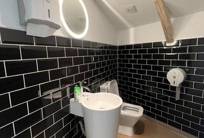 Birou, de 160 mp, în Armeneasca - 14