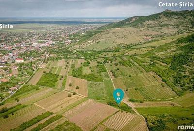 Teren extravilan - 3654 mp Dealul ?iriei - 4