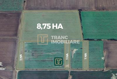 Teren agricol extravilan de 117500 mp, în Turnu - 2