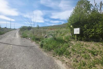 Teren Construcții intravilan de 500 mp, în Calea Romanului - 10