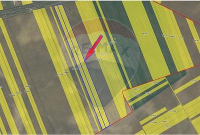Teren Construcții intravilan de 49666 mp, în Ciorogârla - 4