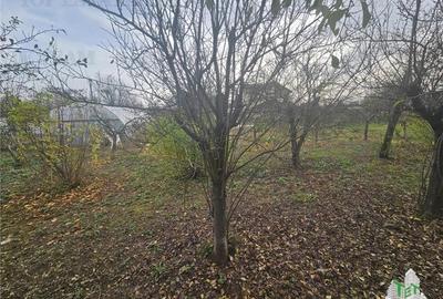 Teren 2000mp intre case langa Padurea Teghes - 5