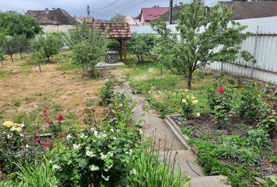 Comuna Augustin, casa deosebita, renovata integral, mobilata si utilata full!!! - 13