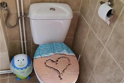 I Oferta I Casa de inchiriat I 70 mp I Dealul Morii I Central I - 11