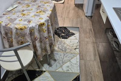 Garsonieră decomandată în Ozana - 5