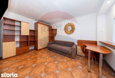 Garsonieră semidecomandată, mobilată în Valea Cetății - 14