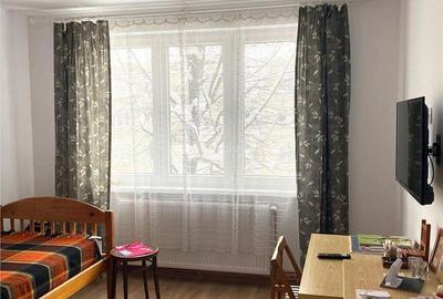 Apartament cu 2 camere semidecomandat în Săsar - 7