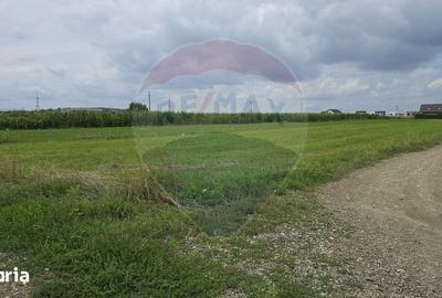 Teren de 1791 mp, în Central - 3
