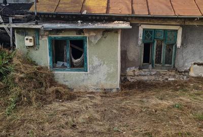 Teren de vanzare in zona Chitila / Bucurestii Noi Teren de vanzare in zona Chitila / Bucurestii Noi - 10