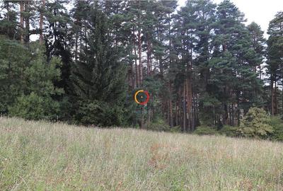 Teren intravilan cu PUZ si PUD 2 loturi - 2