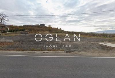 Teren Imprejmuit, la sosea (DN14)- SURA MARE - 2