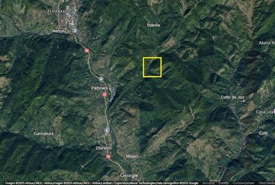 Padure zona Nehoiu  6H – 0,6 euro/mp - 5