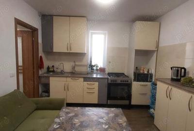 Proprietar vand casa Peciu nou 20 km de Timisoara - 2