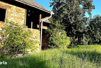 Casă cu 2 camere cu Teren 1700 Mp în Bârsana - 2