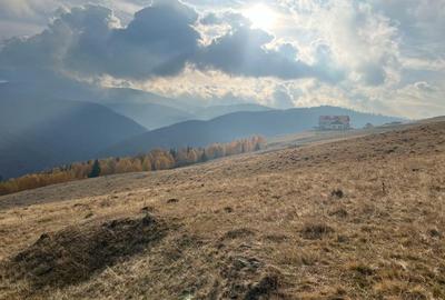 Teren de vanzare ideal pentru cabana Zona Valari, Paltini?(6131 m)