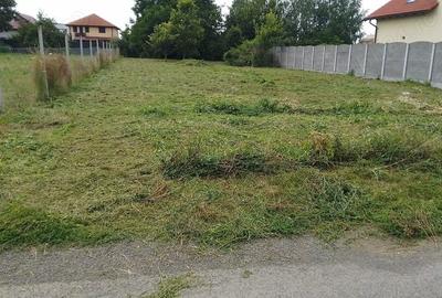 Teren de 907 mp, în Dumbrăvița