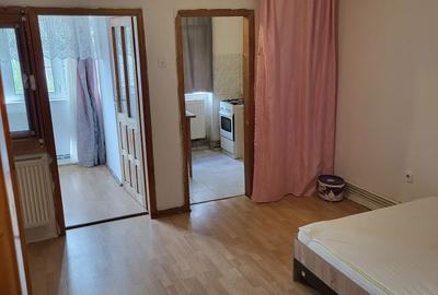 Garsonieră semidecomandată în Preajba Mare - 3