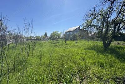 Teren de 2775 mp, în Olteni - 4