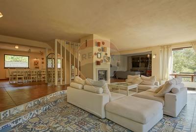 De vânzare Casa Margo - Cheile Râșnoavei - oportunitate de investiție - 3