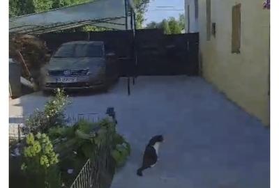 Buturugeni Posta - 3