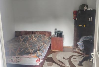 Casă cu 3 camere cu Teren 4000 Mp în Urseiu - 13