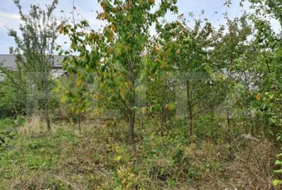 Casă cu 6 camere cu Teren 3000 Mp în Dărmănești - 1