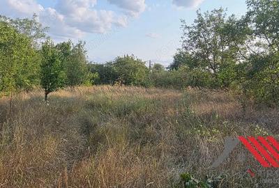 Topolova?u Mare Casa si Teren 1683 mp - 48.500 euro - 18