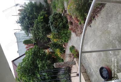 Casă cu Teren 282 Mp în Decebal - 6