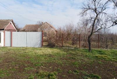 RECO Casa in Ciumeghiu la 18km de Salonta - 5