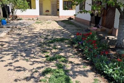 Casă cu 2 camere în Țifești - 6