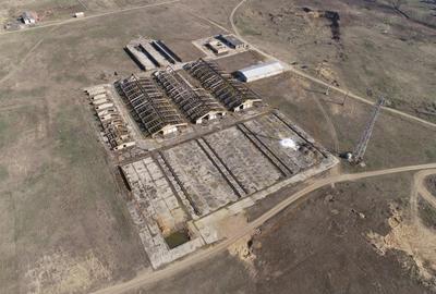 De Vanzare Ferma Piscolt Teren 64.000 mp- Piscolt SM - Comision 0% cumparator - 1