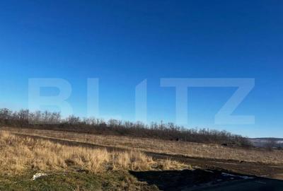 Teren Selimbar, 5000 mp. - 3