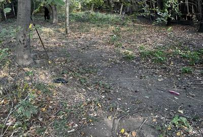 Casă cu 4 camere în Central - 6