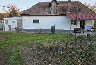 Casa de vanzarea - 10