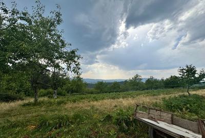 Spațiu comercial, în Brusturi - 1