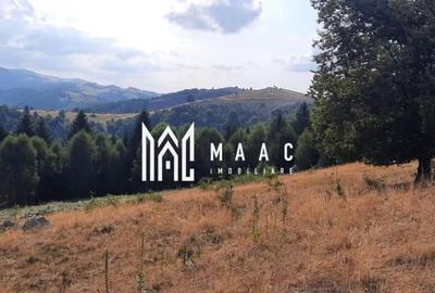 Teren Extravilan | 19.593 MP | Zona Saliste - 1