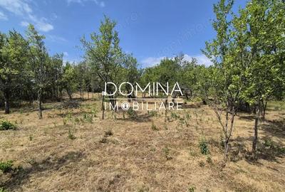 Casă cu 2 camere cu Teren 5209 Mp în Mușetești - 9