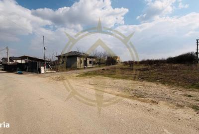 Spațiu comercial, în Tamași - 3