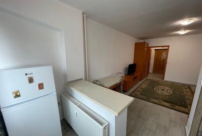 Garsoniera Iancului - Pantelimon -Cimitirul Armenesc - Renov - 8