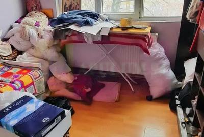 Apartament cu 3 camere decomandat în Valea Oltului - 4