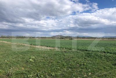 De vanzare teren extravilan 50.000 mp - 2